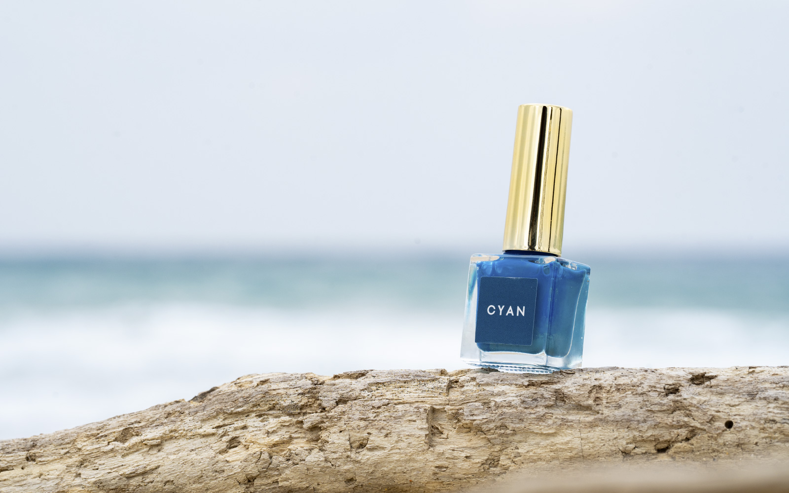 CYAN＜シアン＞ ～made with shell～